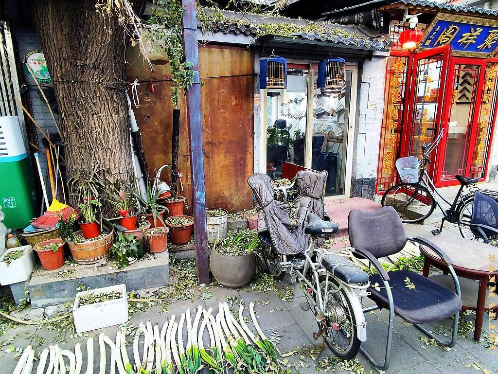 2024 11 PEKIN - LE VIEUX PEKIN  (16).jpg